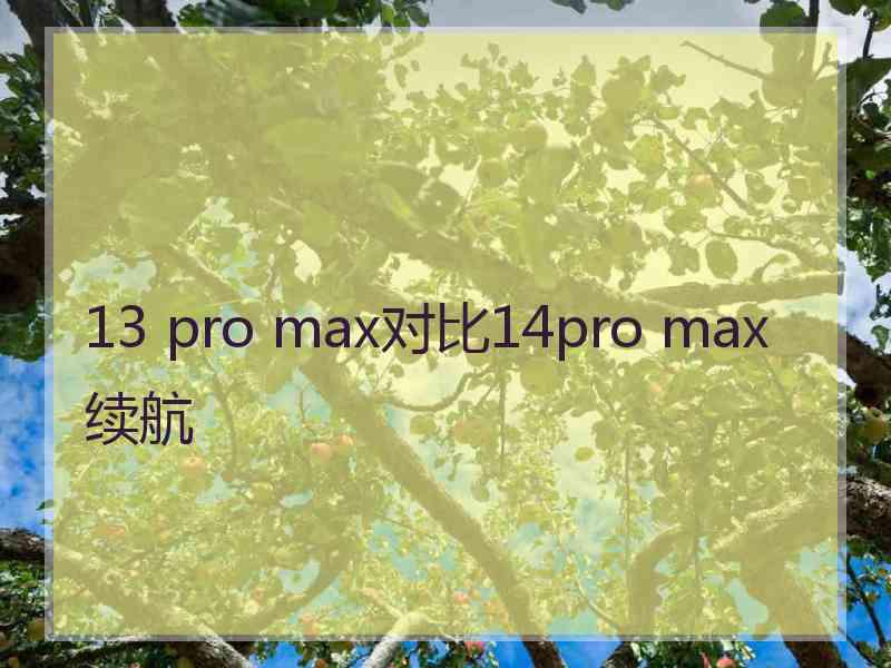 13 pro max对比14pro max续航