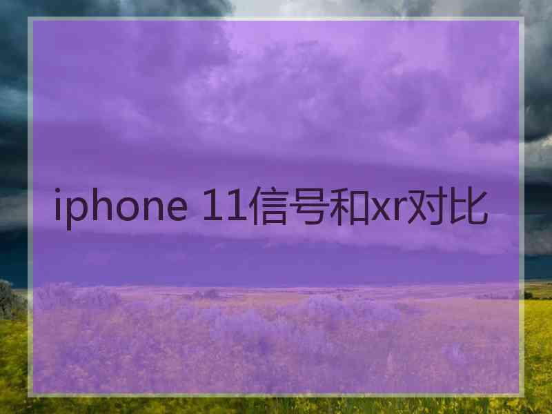 iphone 11信号和xr对比