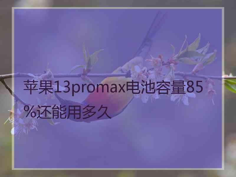 苹果13promax电池容量85%还能用多久