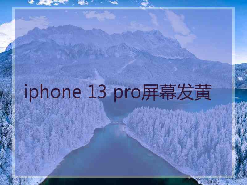 iphone 13 pro屏幕发黄