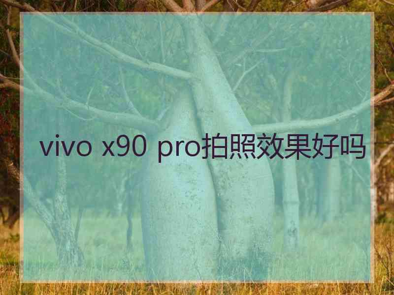 vivo x90 pro拍照效果好吗