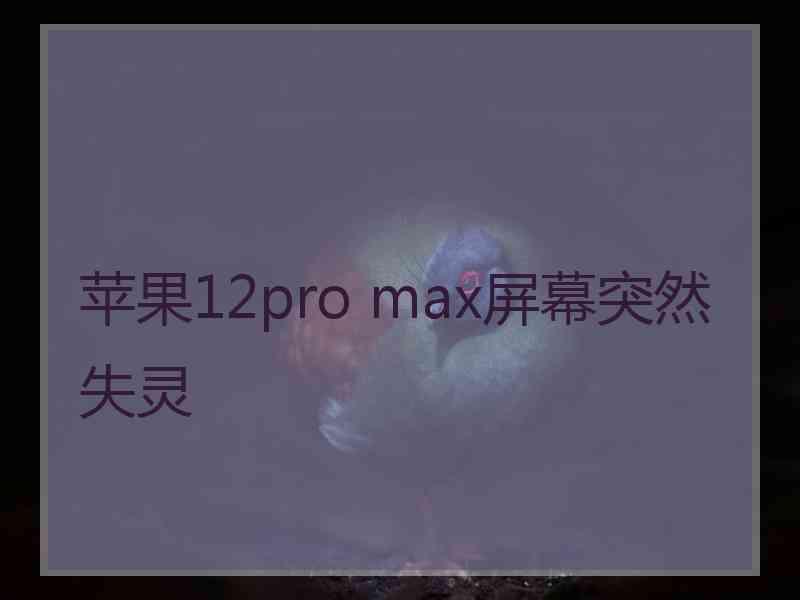 苹果12pro max屏幕突然失灵