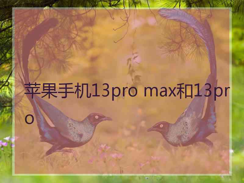 苹果手机13pro max和13pro