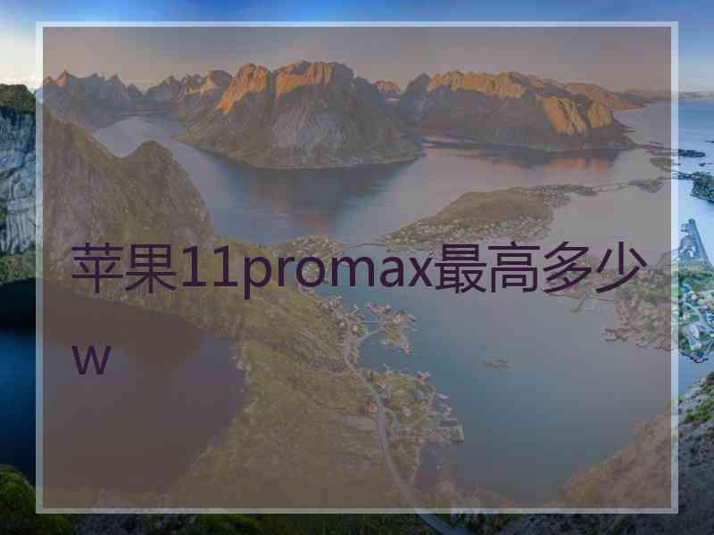 苹果11promax最高多少w