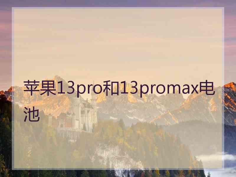 苹果13pro和13promax电池