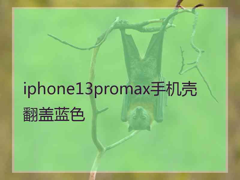 iphone13promax手机壳翻盖蓝色