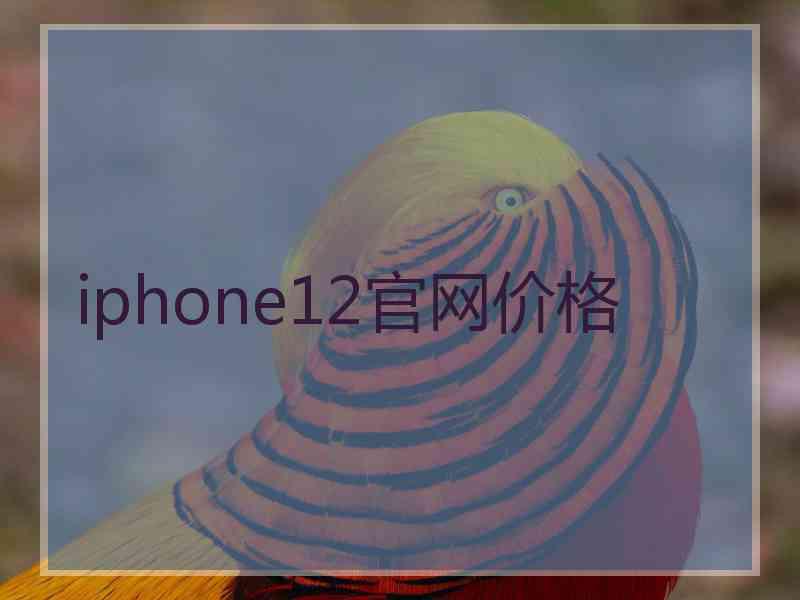 iphone12官网价格