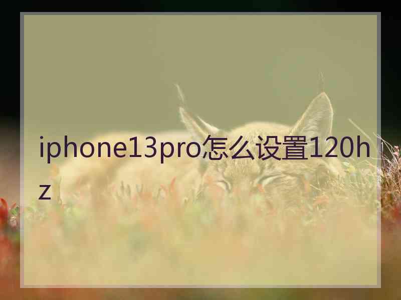 iphone13pro怎么设置120hz