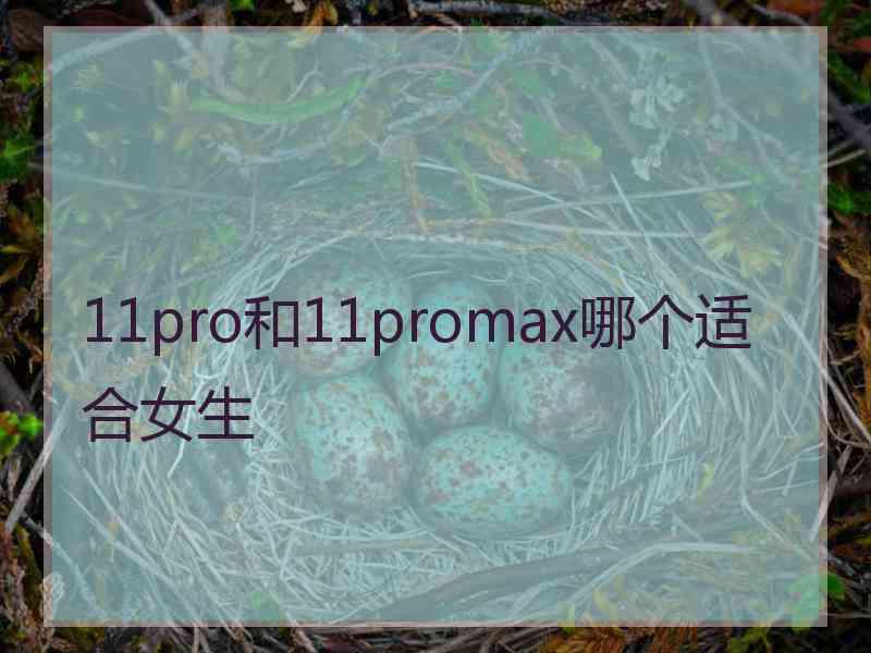 11pro和11promax哪个适合女生