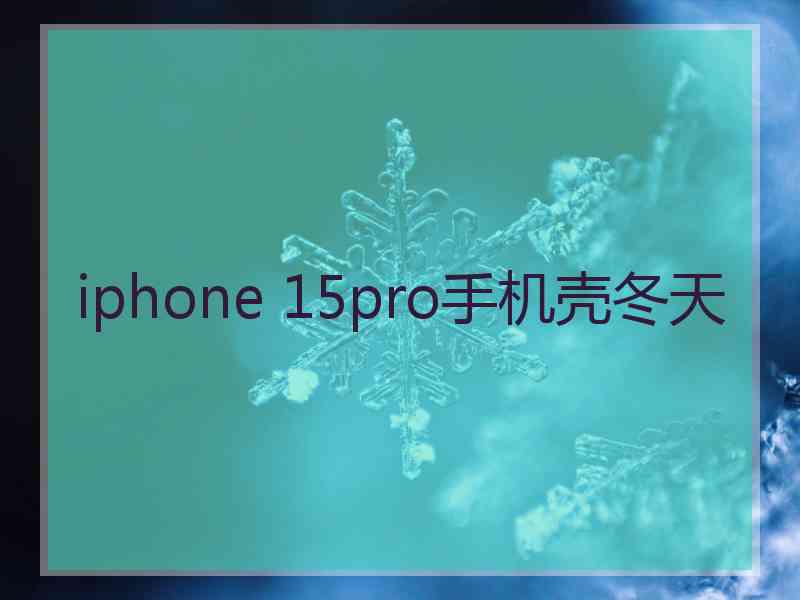 iphone 15pro手机壳冬天