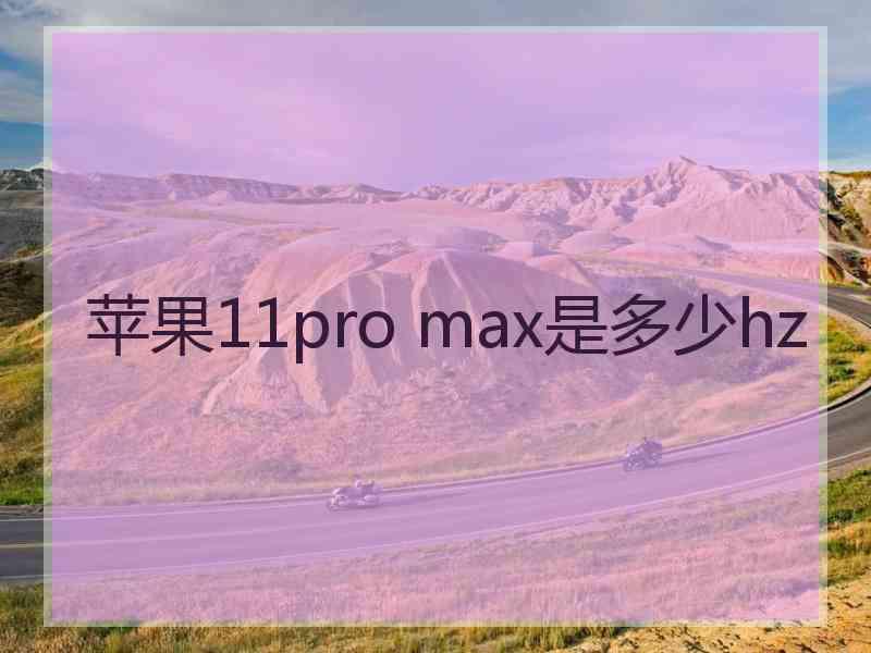 苹果11pro max是多少hz