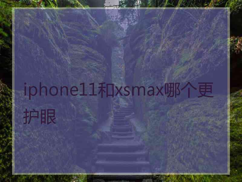 iphone11和xsmax哪个更护眼