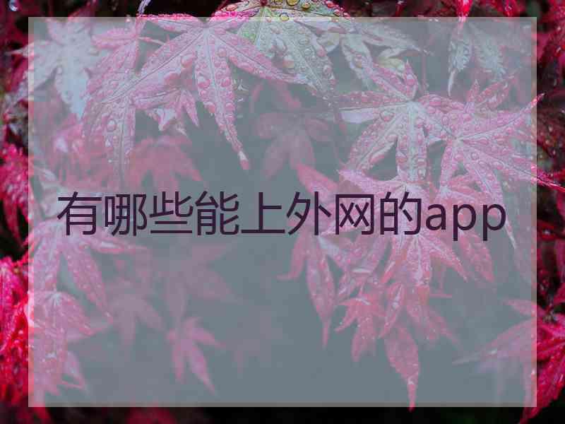 有哪些能上外网的app