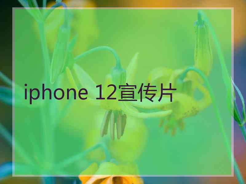 iphone 12宣传片