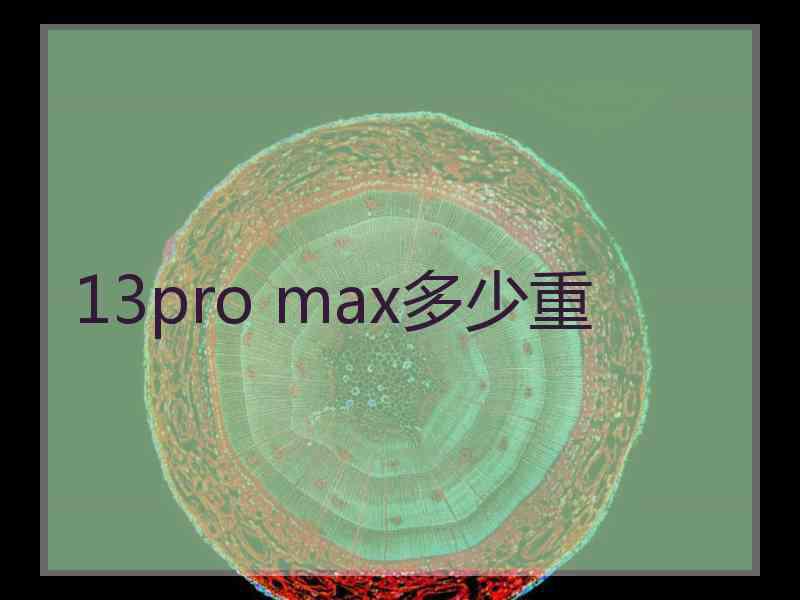 13pro max多少重