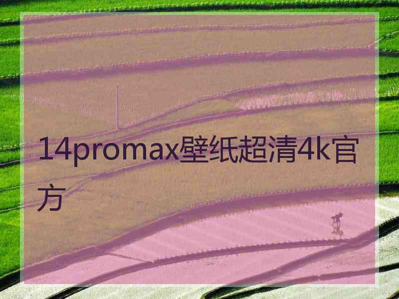 14promax壁纸超清4k官方