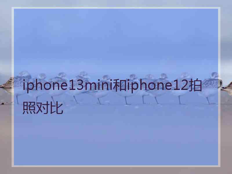 iphone13mini和iphone12拍照对比