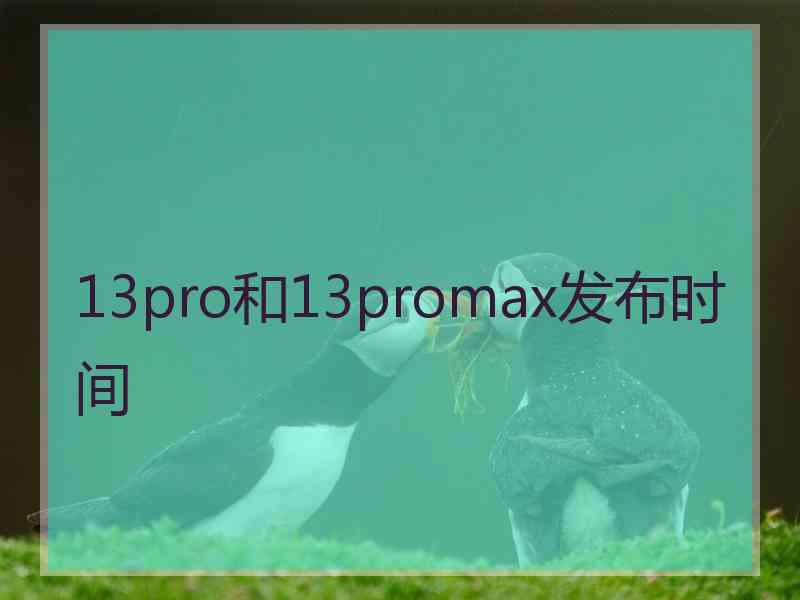 13pro和13promax发布时间