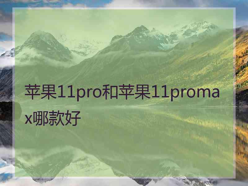 苹果11pro和苹果11promax哪款好