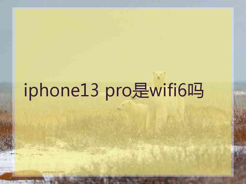 iphone13 pro是wifi6吗