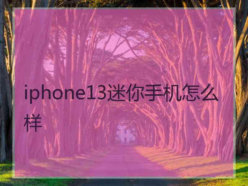 iphone13迷你手机怎么样