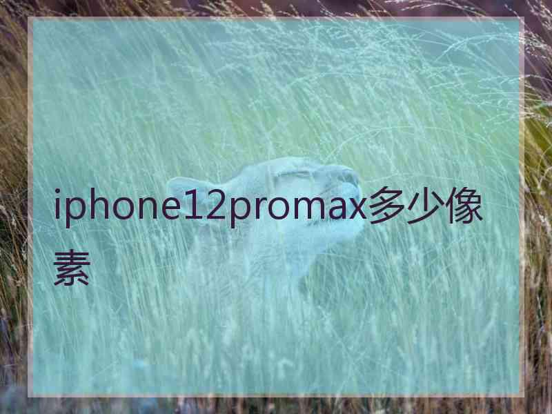 iphone12promax多少像素