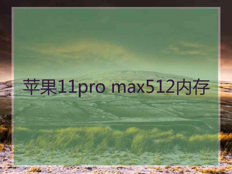 苹果11pro max512内存