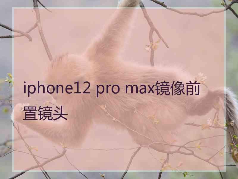 iphone12 pro max镜像前置镜头