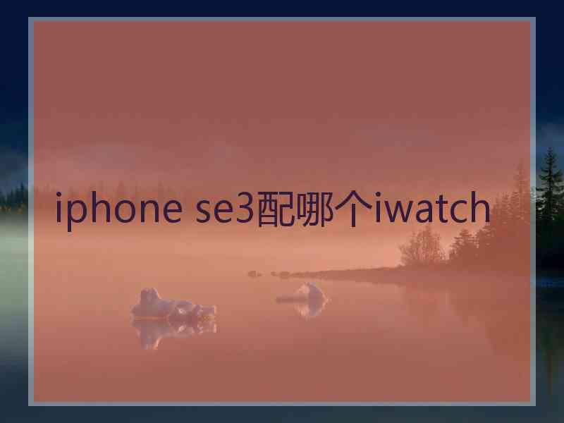 iphone se3配哪个iwatch