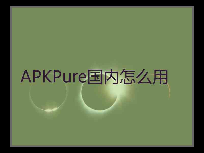 APKPure国内怎么用