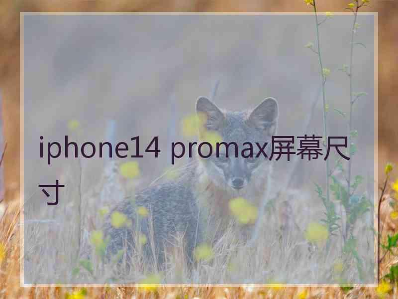 iphone14 promax屏幕尺寸