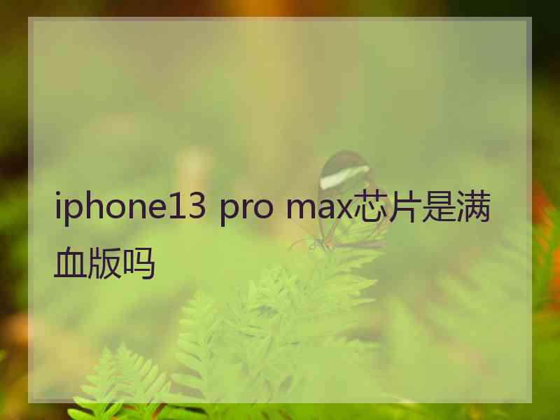 iphone13 pro max芯片是满血版吗