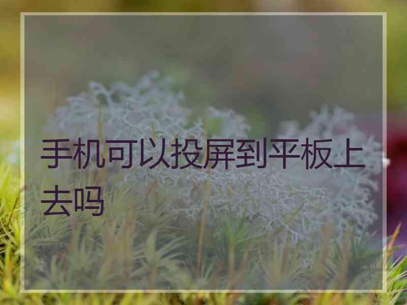 手机可以投屏到平板上去吗