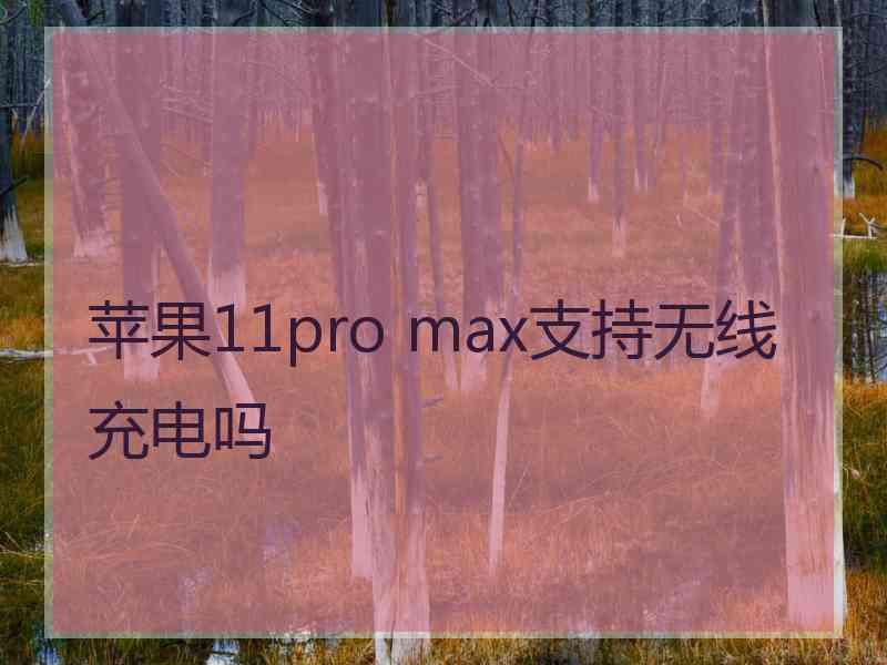 苹果11pro max支持无线充电吗