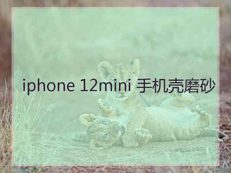 iphone 12mini 手机壳磨砂