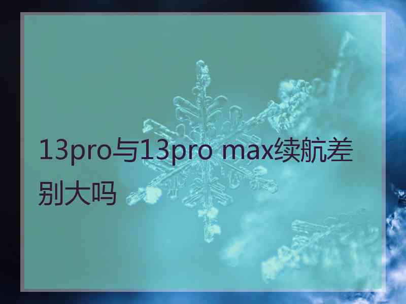 13pro与13pro max续航差别大吗