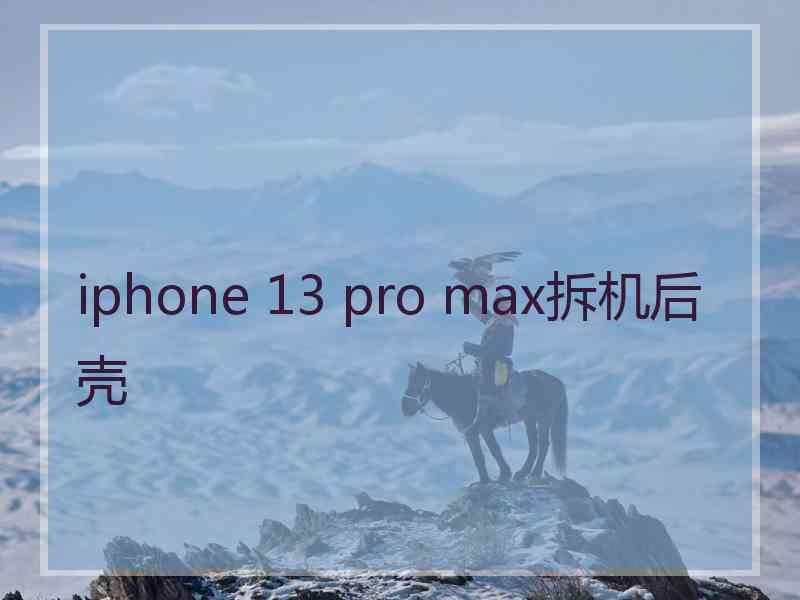 iphone 13 pro max拆机后壳