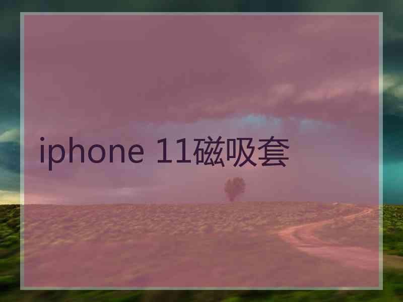 iphone 11磁吸套