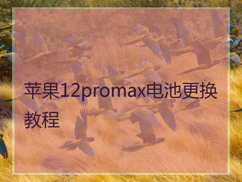 苹果12promax电池更换教程