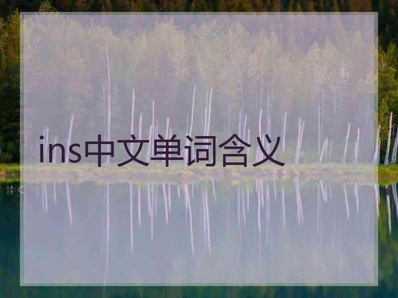 ins中文单词含义