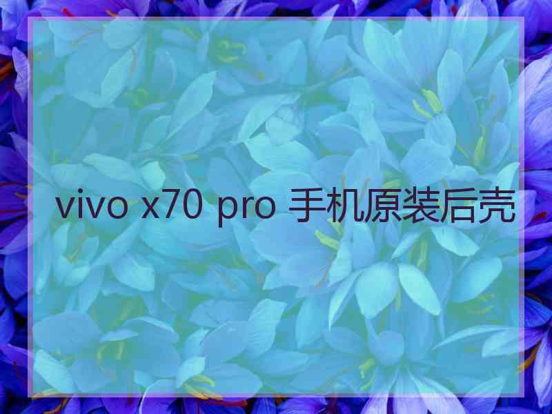 vivo x70 pro 手机原装后壳