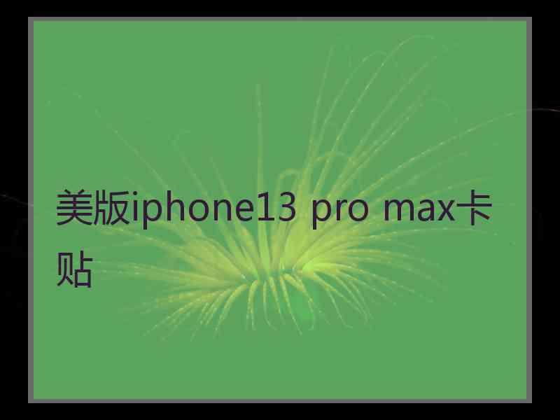 美版iphone13 pro max卡贴