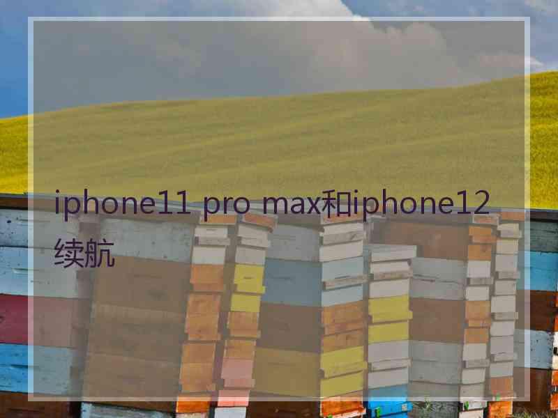 iphone11 pro max和iphone12续航