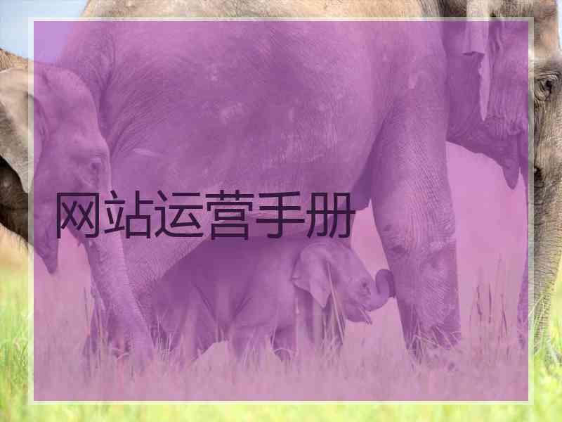 网站运营手册