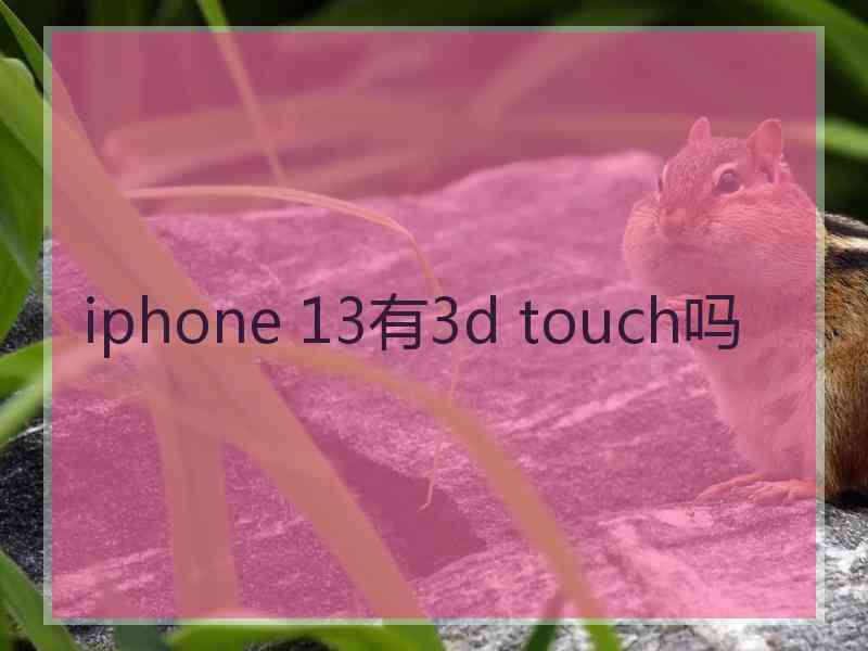 iphone 13有3d touch吗