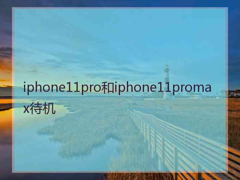 iphone11pro和iphone11promax待机