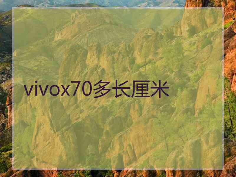 vivox70多长厘米