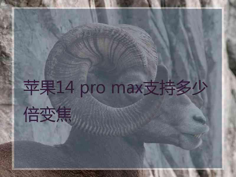 苹果14 pro max支持多少倍变焦