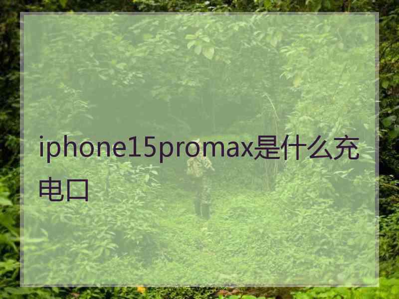 iphone15promax是什么充电口