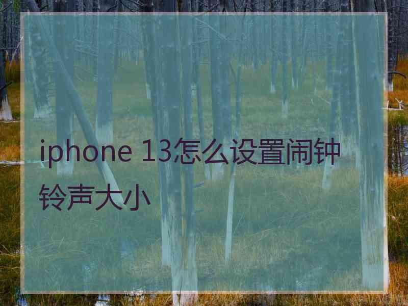 iphone 13怎么设置闹钟铃声大小